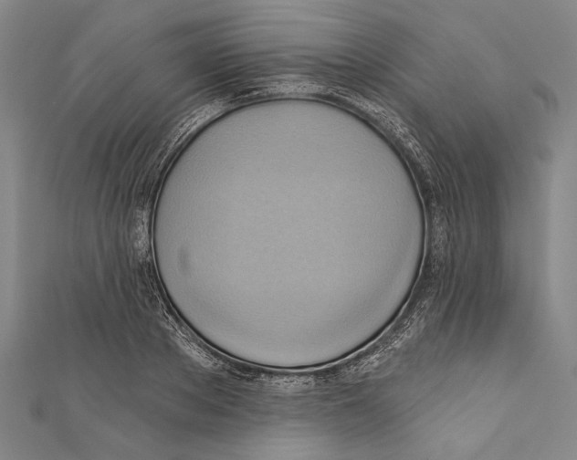 X0000110680889200907101125