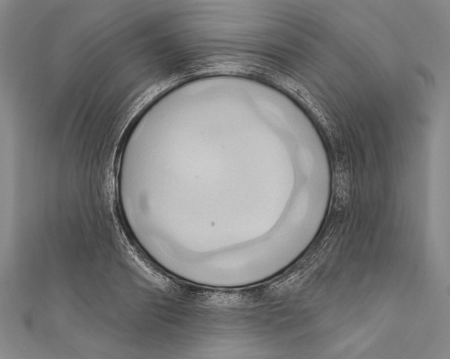 X0000110680890200907101125