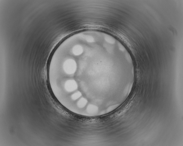 X0000110680891200907101125