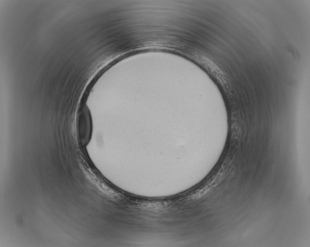 X0000110680892200907101125