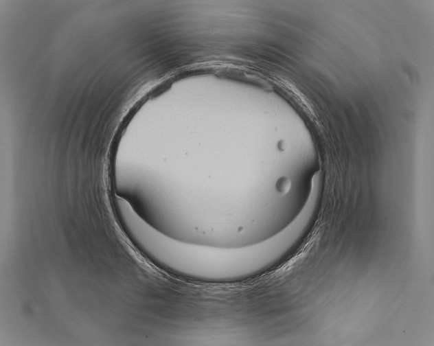 X0000110680893200907101125