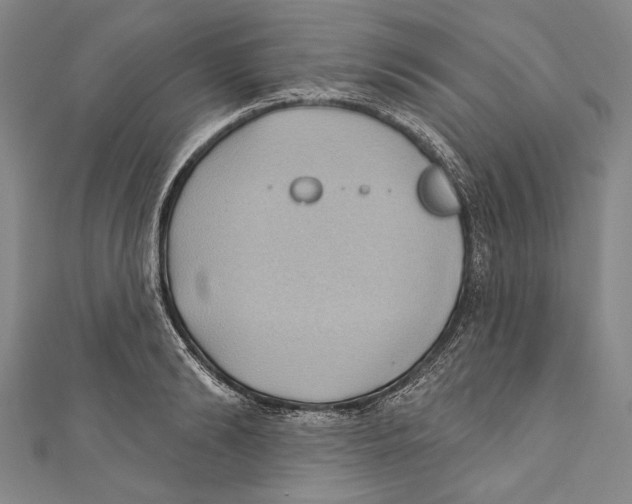 X0000110680894200907101125