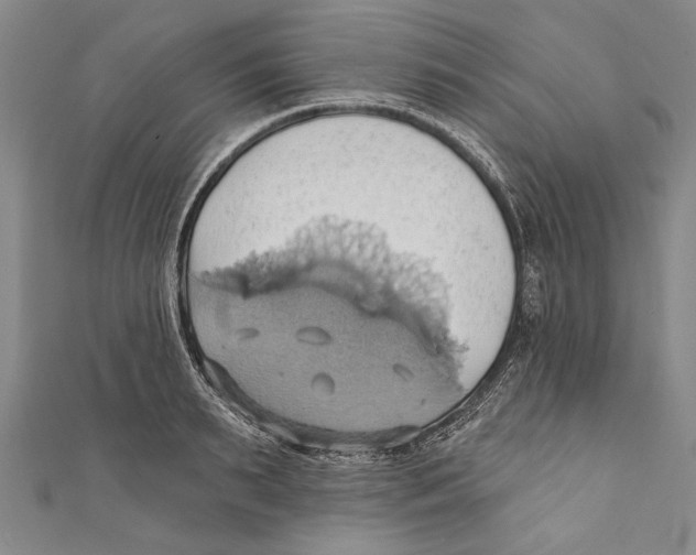 X0000110680895200907101125