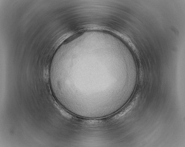 X0000110680897200907101125