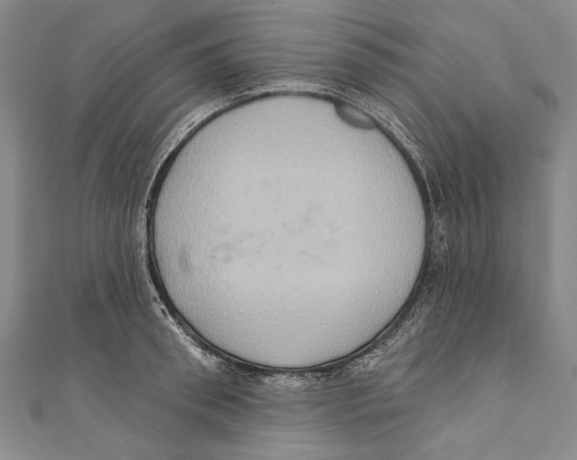 X0000110680898200907101125