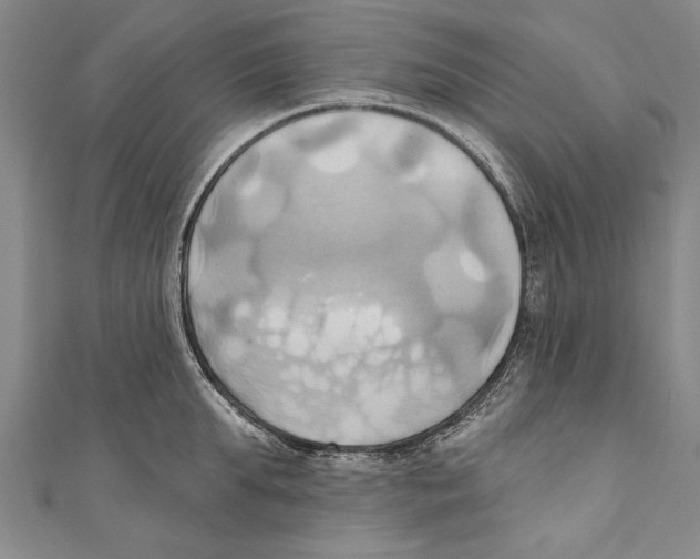 X0000110680903200907101125