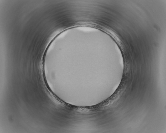 X0000110680907200907101125