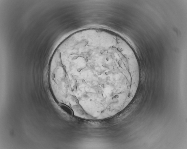 X0000110680911200907101125