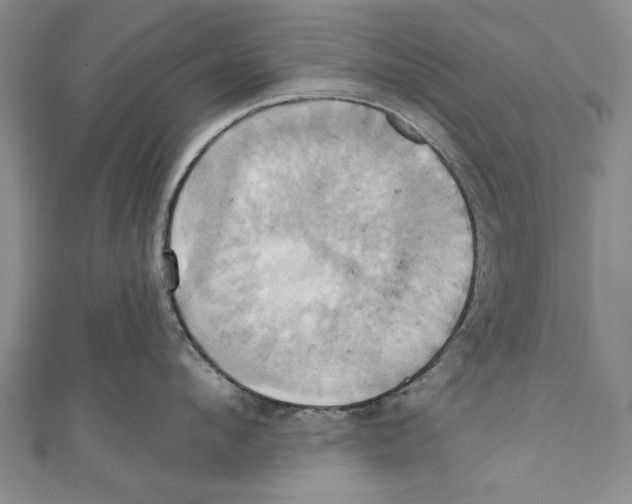 X0000110680912200907101124