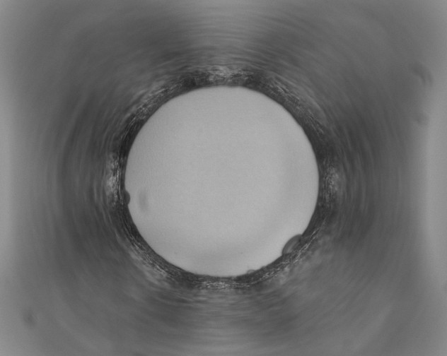 X0000110680914200907101124