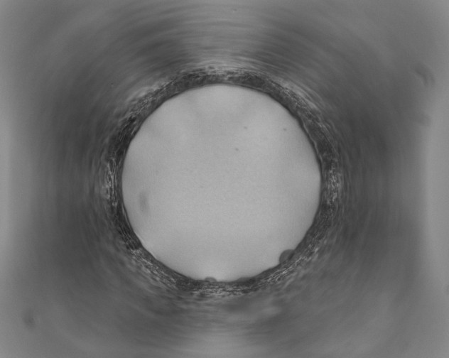 X0000110680917200907101124