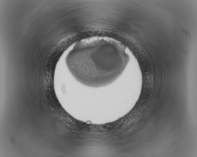 X0000110680918200907101124