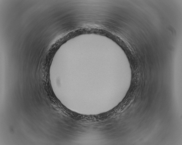 X0000110680919200907101124