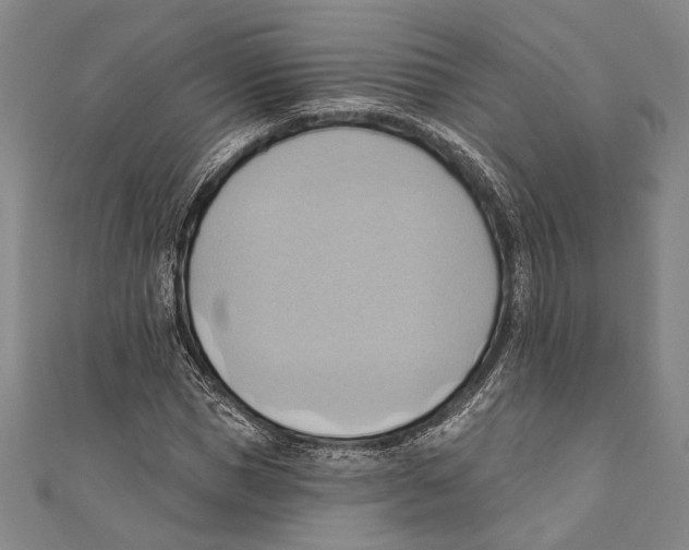 X0000110680921200907101124