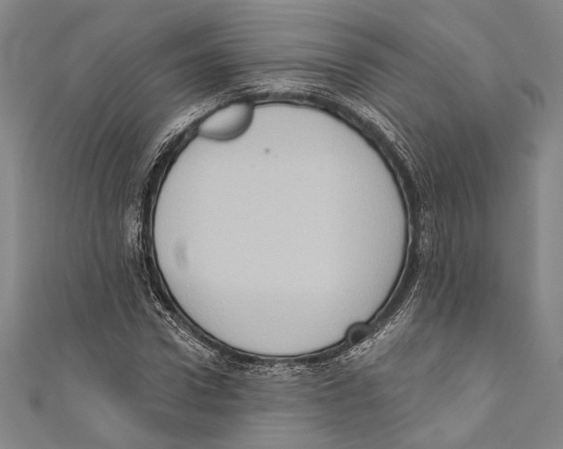 X0000110680922200907101124