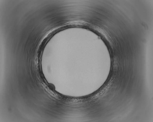 X0000110680923200907101124