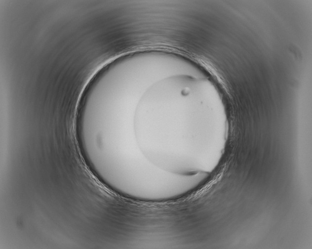 X0000110680924200907101124