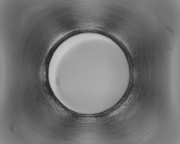 X0000110680925200907101124