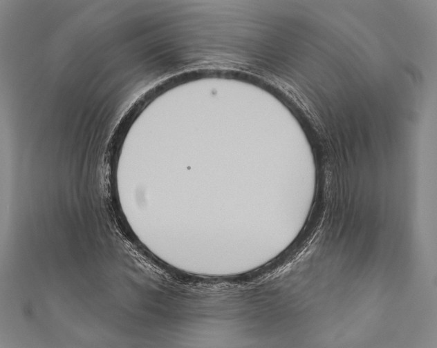 X0000110680926200907101124