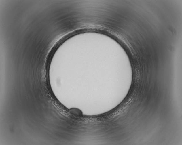 X0000110680927200907101124