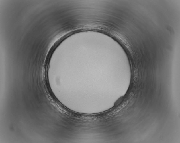X0000110680928200907101124