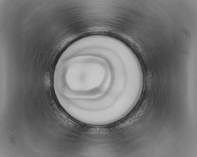 X0000110680929200907101124