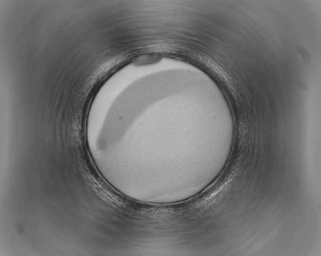 X0000110680930200907101124