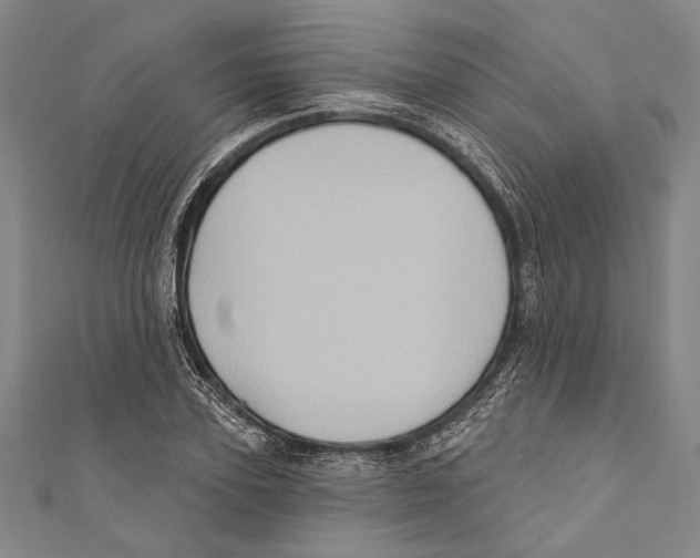 X0000110680931200907101124