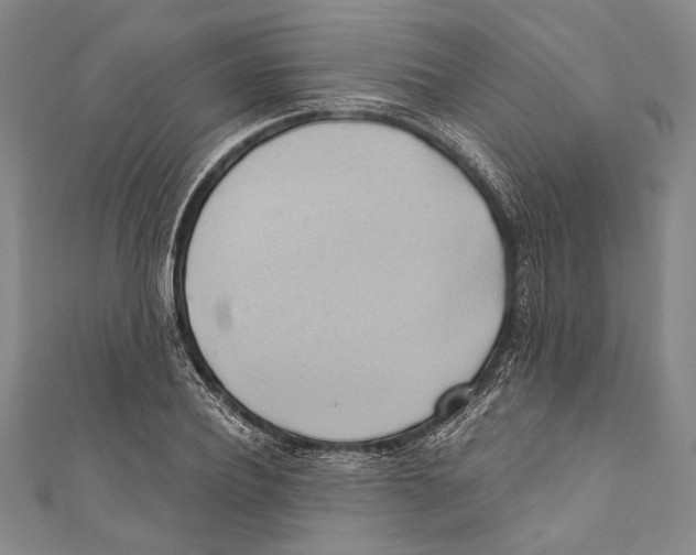 X0000110680932200907101124