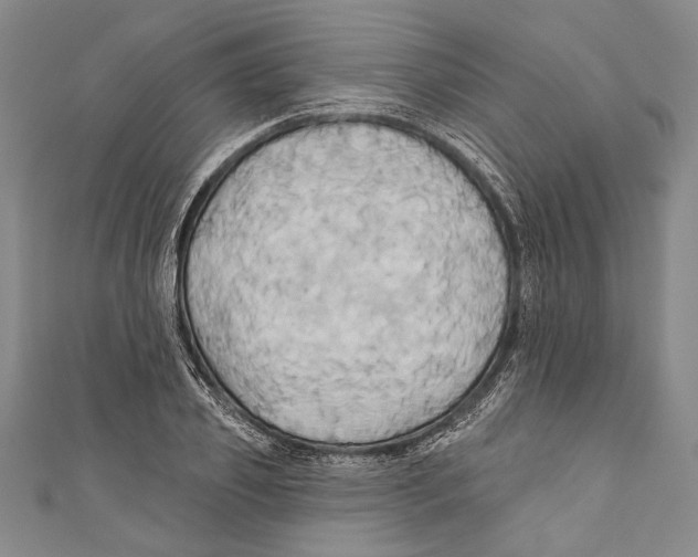 X0000110680933200907101124