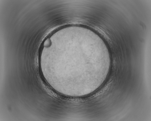 X0000110680934200907101124