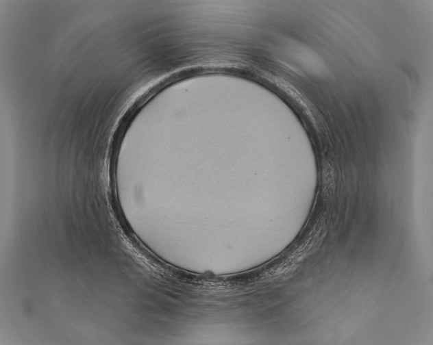 X0000110680935200907101124