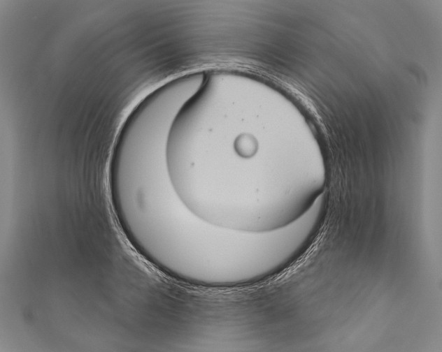 X0000110680936200907101124