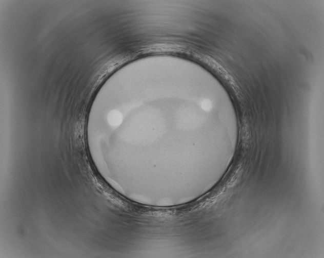 X0000110680937200907101124