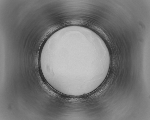 X0000110680938200907101124