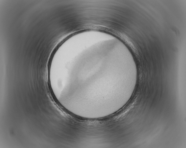 X0000110680940200907101124