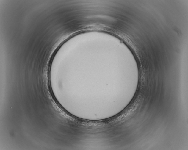 X0000110680941200907101124