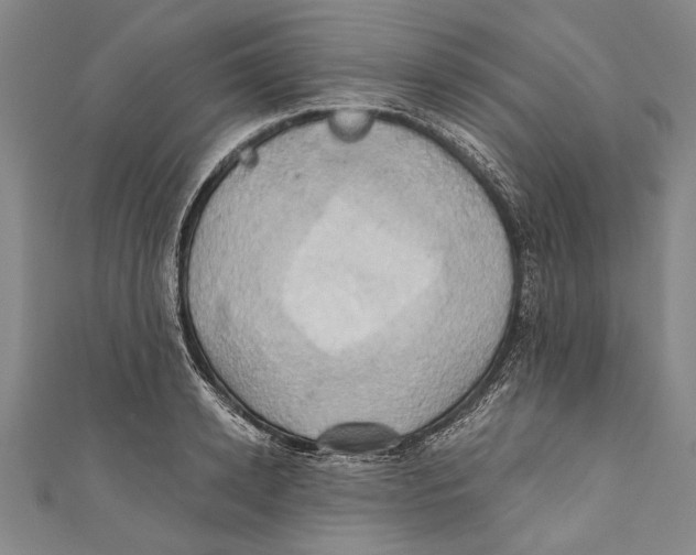X0000110680942200907101124