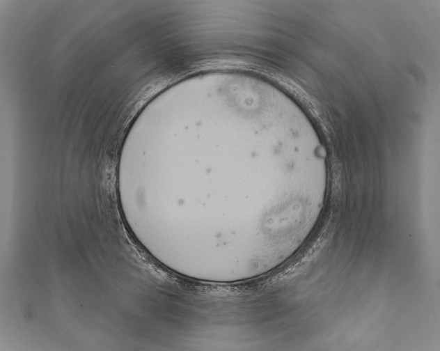 X0000110680945200907101124