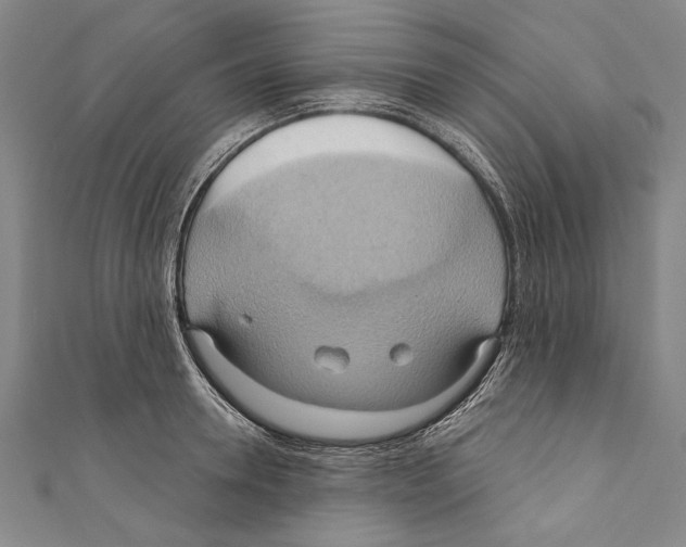 X0000110680946200907101124