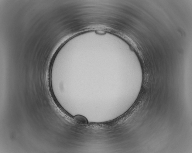 X0000110680947200907101124