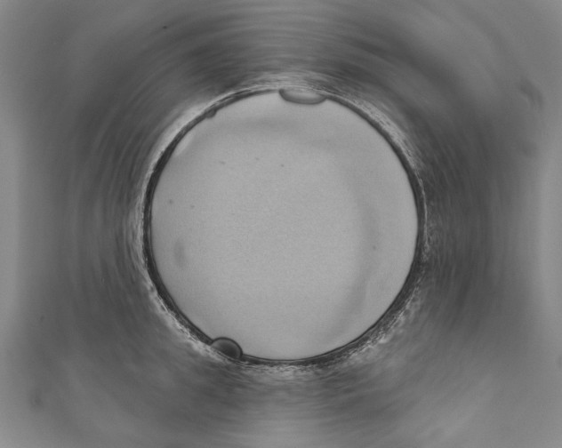 X0000110680949200907101124