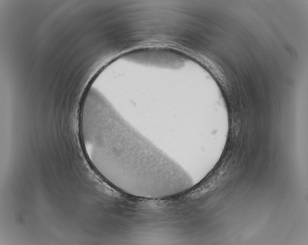 X0000110680950200907101124