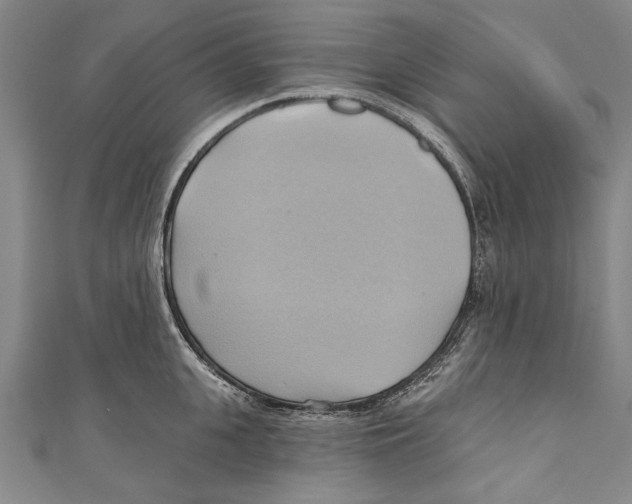 X0000110680951200907101124