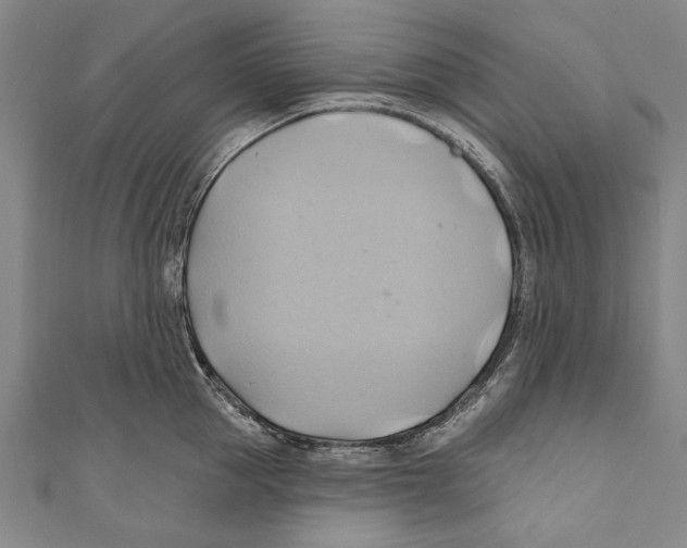X0000110680953200907101124