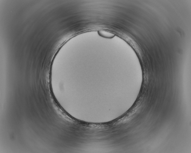 X0000110680954200907101124