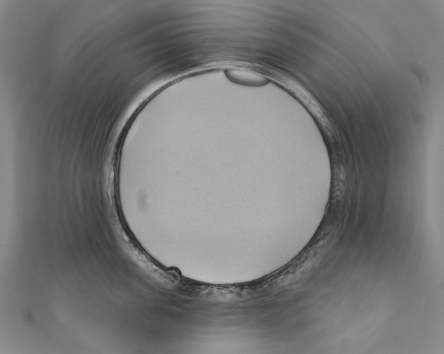 X0000110680955200907101124