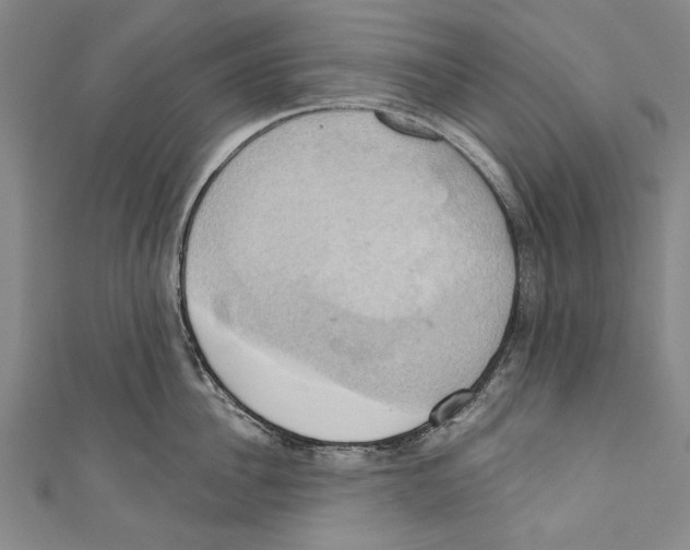 X0000110680956200907101124