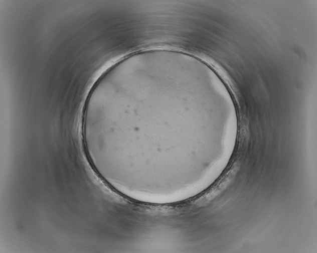 X0000110680957200907101124