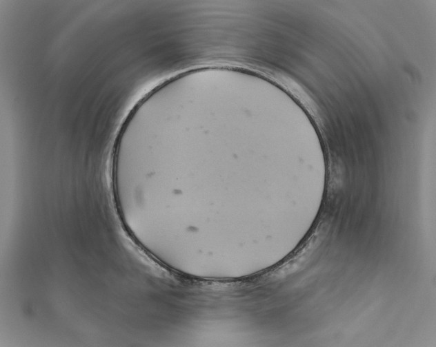X0000110680958200907101124